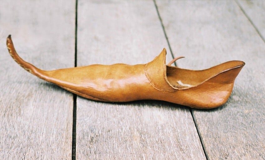 medieval poulaine shoe